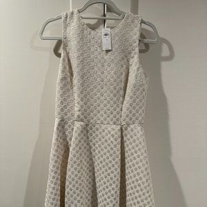 Anne Taylor Flare Dress NWT